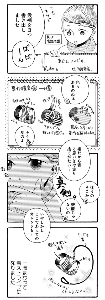 『96歳の柴犬ハチさんは、今日もお散歩しています。』より