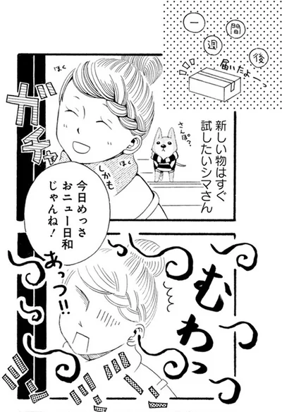 『96歳の柴犬ハチさんは、今日もお散歩しています。』より