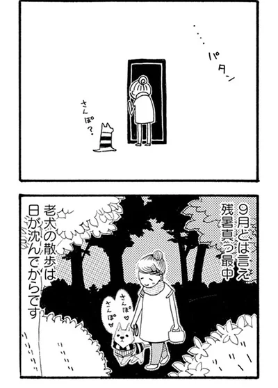 『96歳の柴犬ハチさんは、今日もお散歩しています。』より