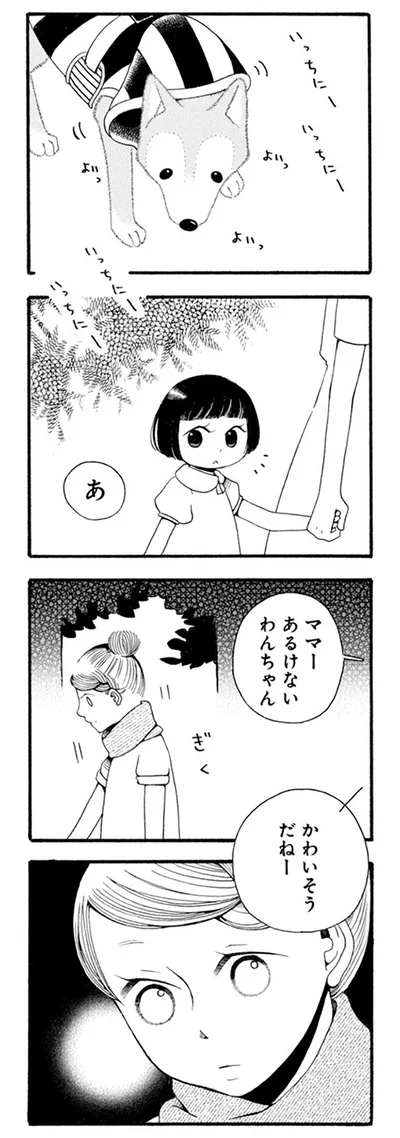 『96歳の柴犬ハチさんは、今日もお散歩しています。』より