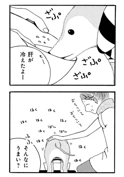 『96歳の柴犬ハチさんは、今日もお散歩しています。』より