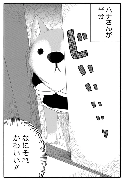 なにそれかわいい！
