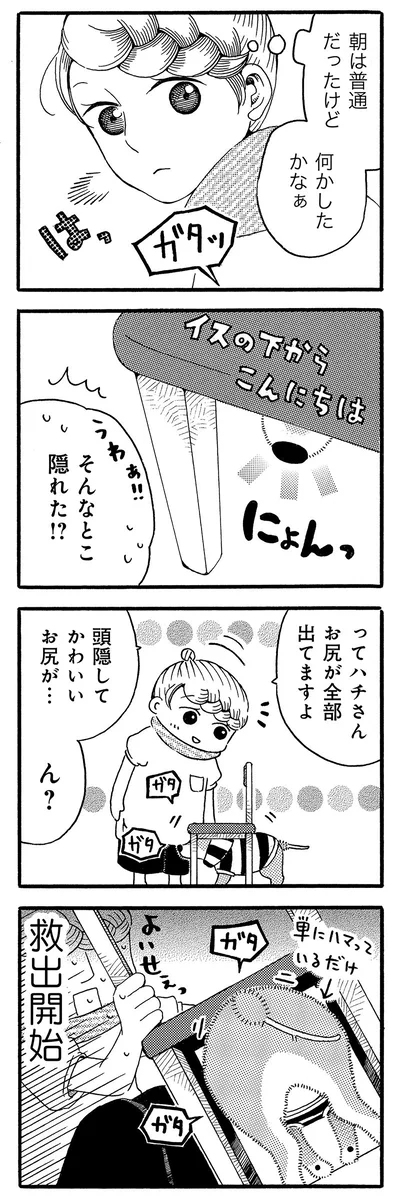 救出開始