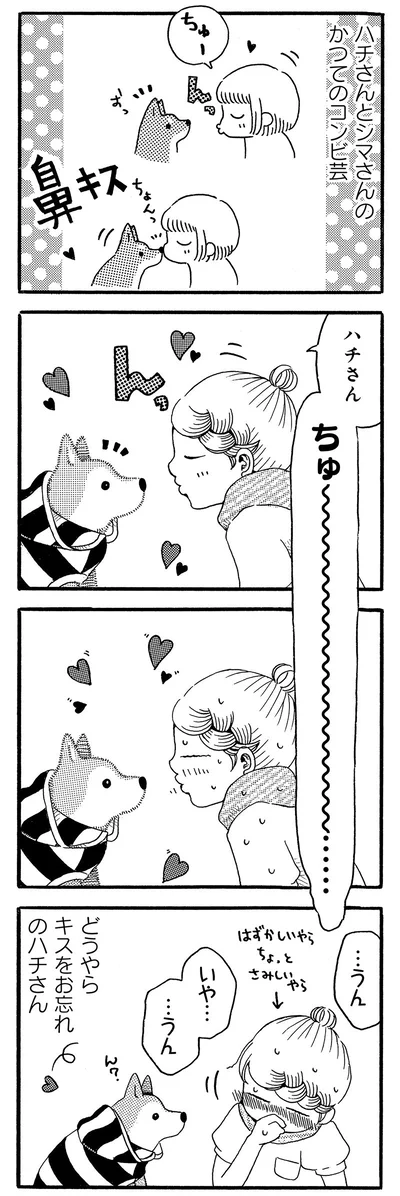 かつてのコンビ芸