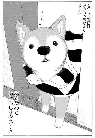 いつものおかえりでした