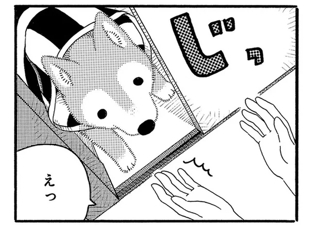 「さっきまでの他人行儀は？」19年間飼っている老犬の様子が変!?／じじ柴ハチさんは、今日も生きています。（1）