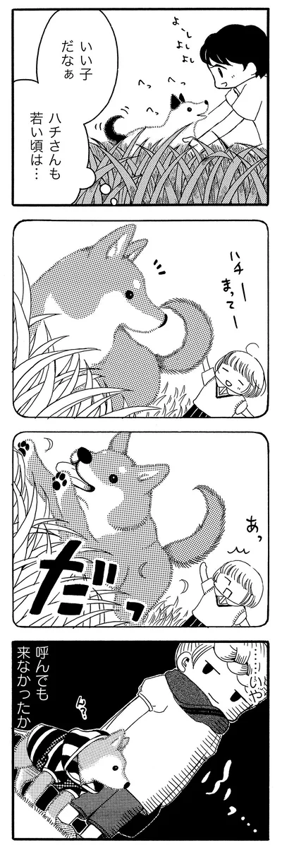 ハチさんも若い頃は…
