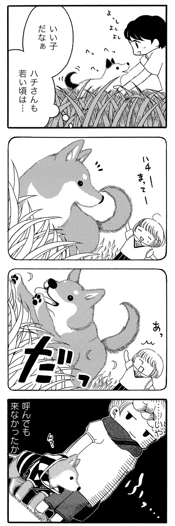 ハチさんも若い頃は…