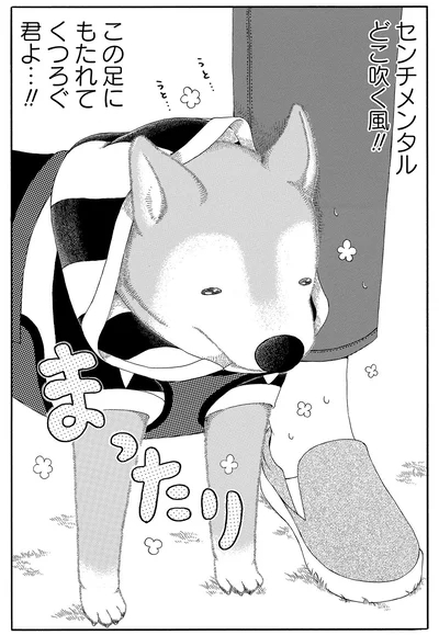 この足にもたれてくつろぐ君よ…！