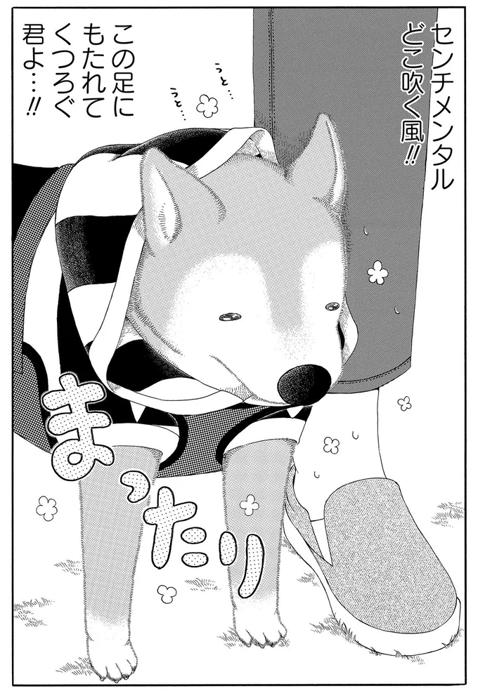 この足にもたれてくつろぐ君よ…！