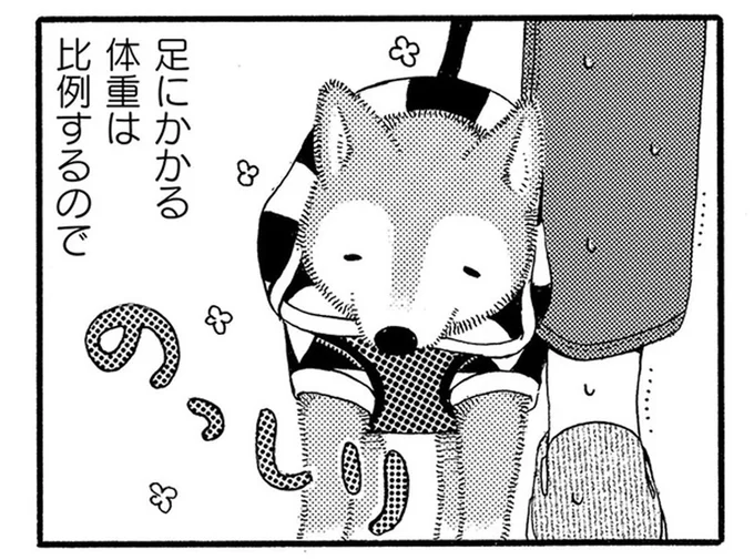 足元でまったりくくつろぐ老犬。飼い主さんが嬉しいけどツライ理由