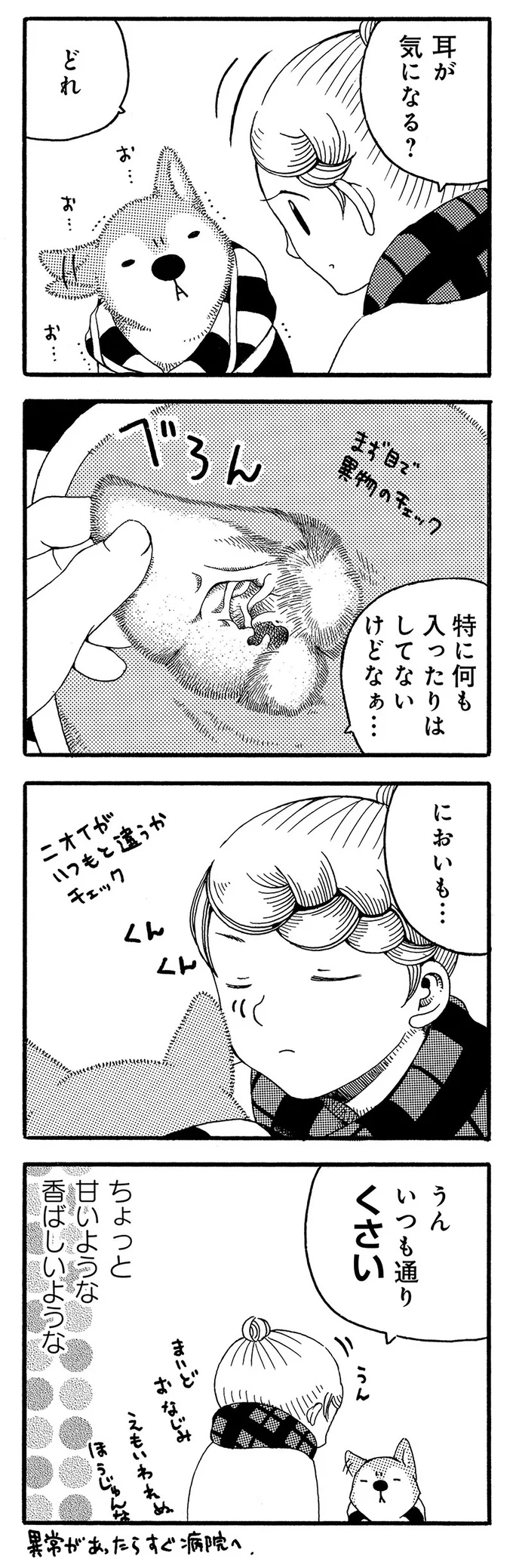 耳が気になる？