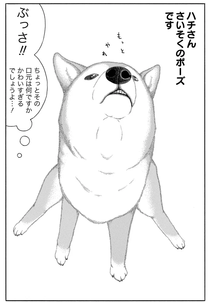 ぶっさ！