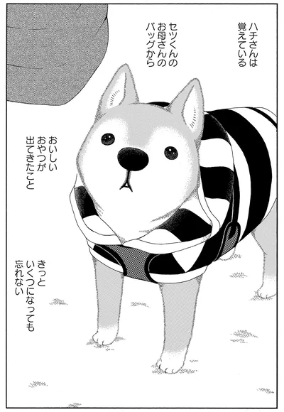 ハチさんは覚えている