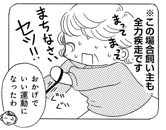 飼い主も一緒に全力疾走!? 散歩中の愛犬がお友達を見つけた時の行動／じじ柴ハチさんは、今日も生きています。（5）