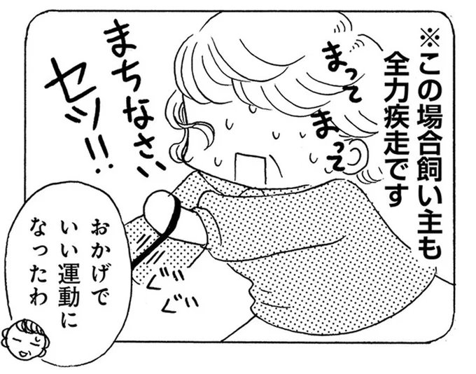 飼い主も一緒に全力疾走!? 散歩中の愛犬がお友達を見つけた時の行動