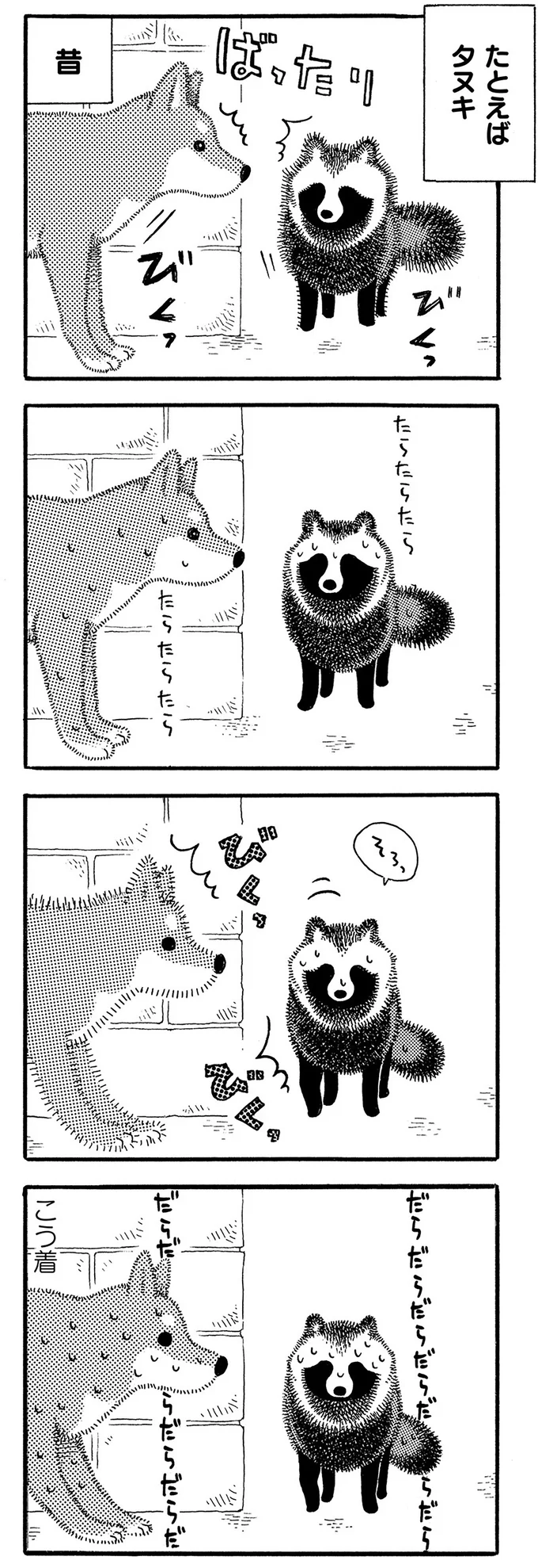 たとえばタヌキ
