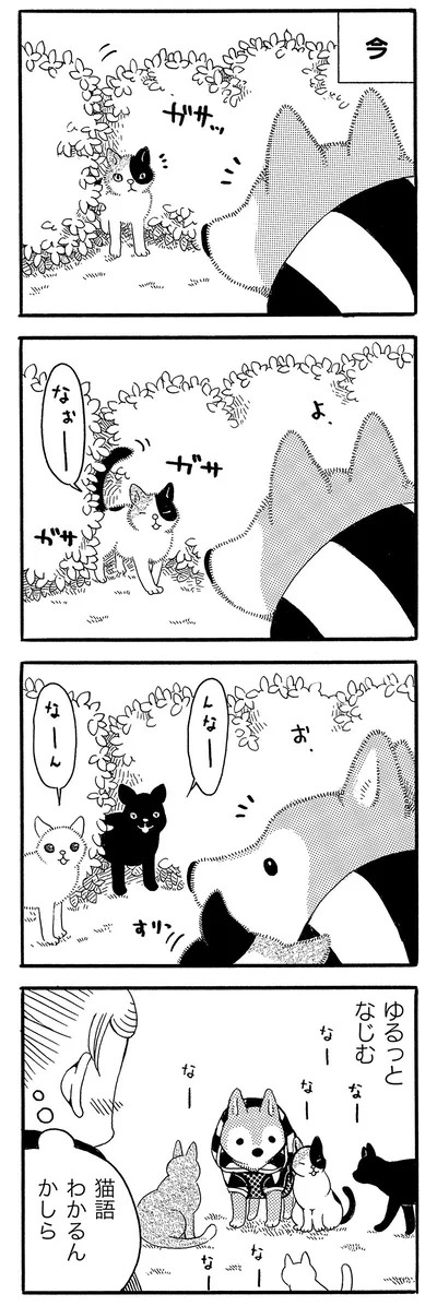 ゆるっとなじむ