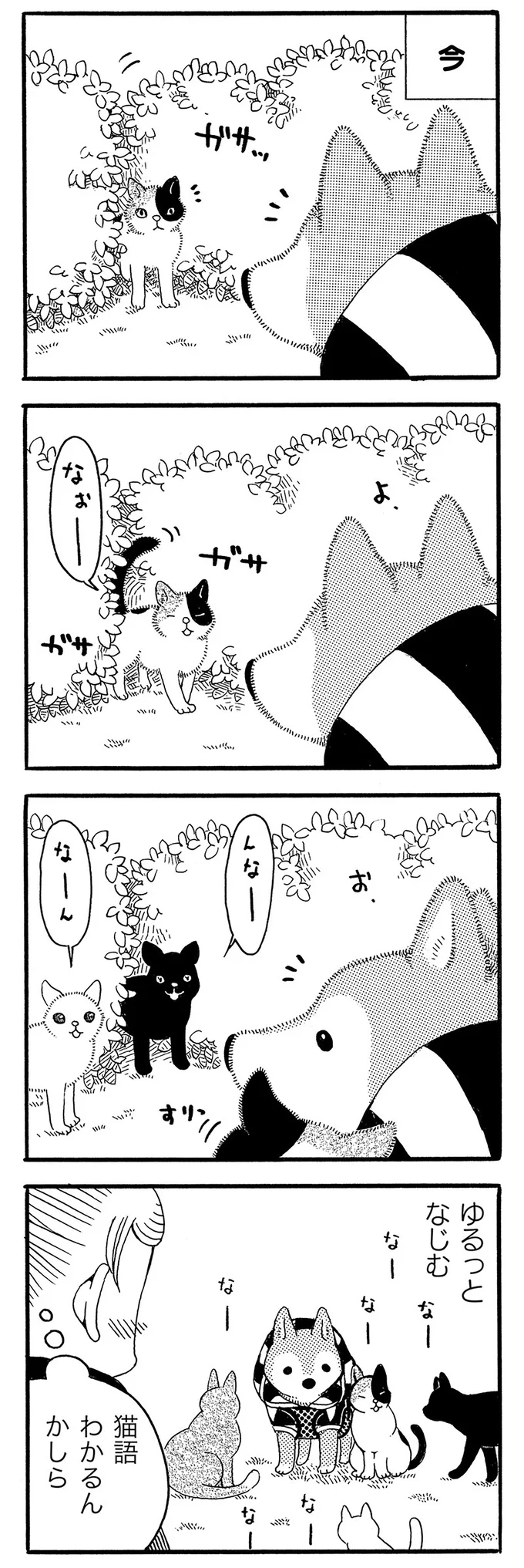 ゆるっとなじむ