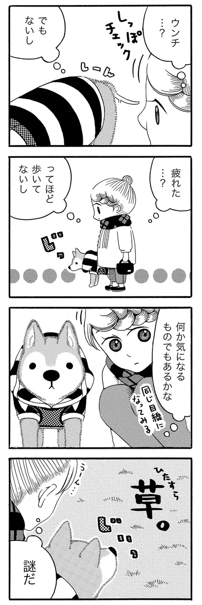何か気になるものでもあるかな
