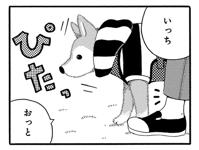 「何か気になるものでも?」散歩中に突然オフモードになっちゃう老犬