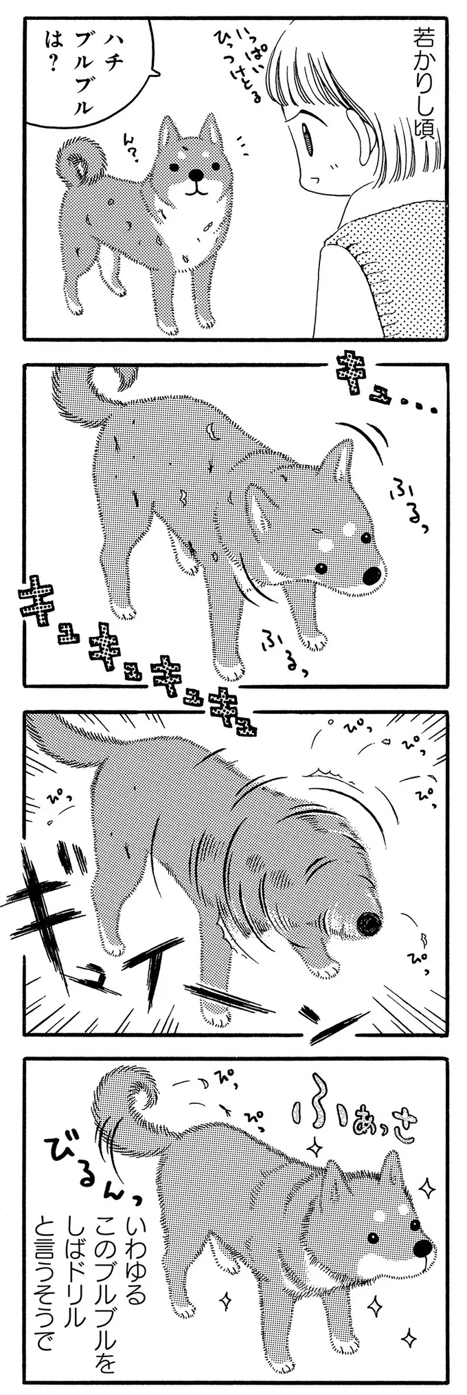 若かりし頃