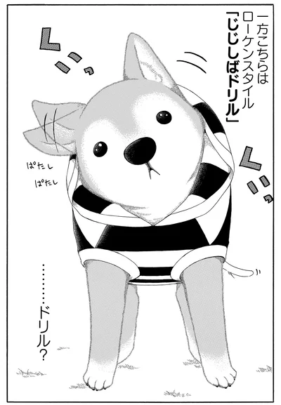 じじしばドリル