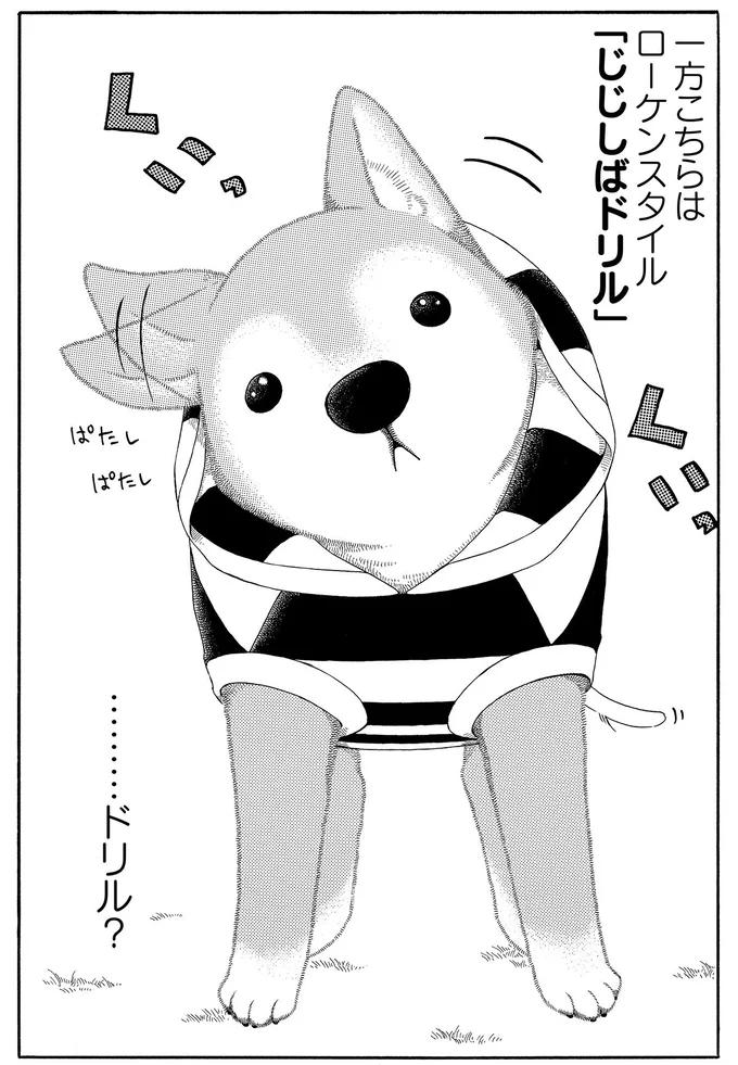 じじしばドリル