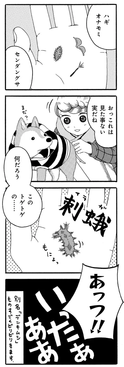 何だろう