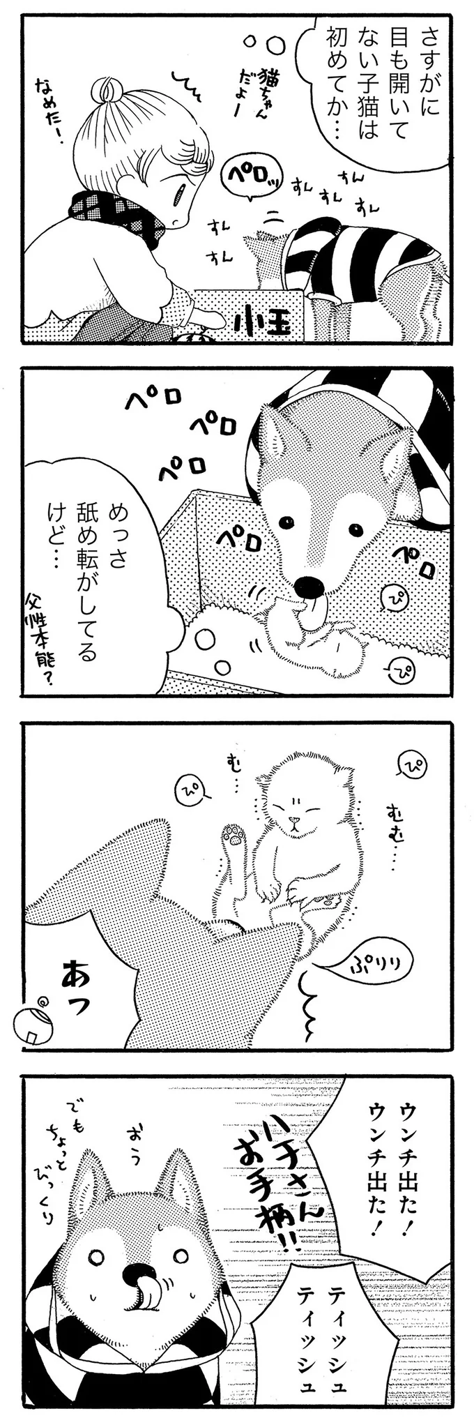 めっさ舐め転がしてるけど…