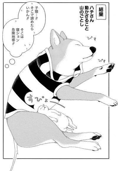 ハチさん動かざること山のごとし