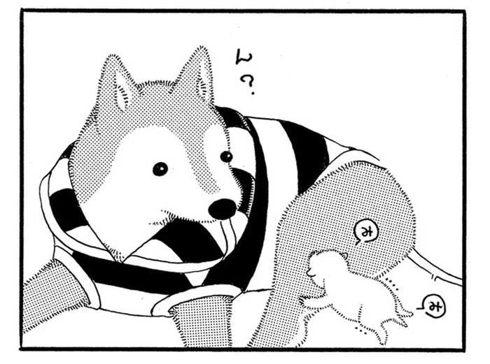捨てられていた子猫を一時的に保護。19歳の老犬が良きじいじっぷりを発揮？／じじ柴ハチさんは、今日も生きています。（9）