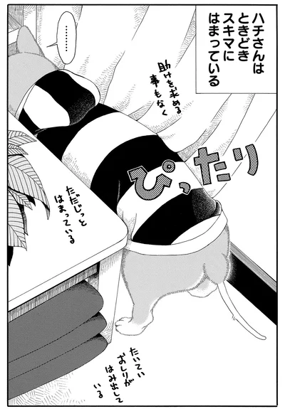 ときどきスキマにはまっている