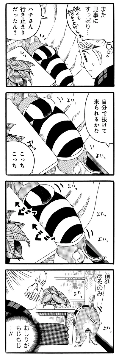 見事にすっぽり…