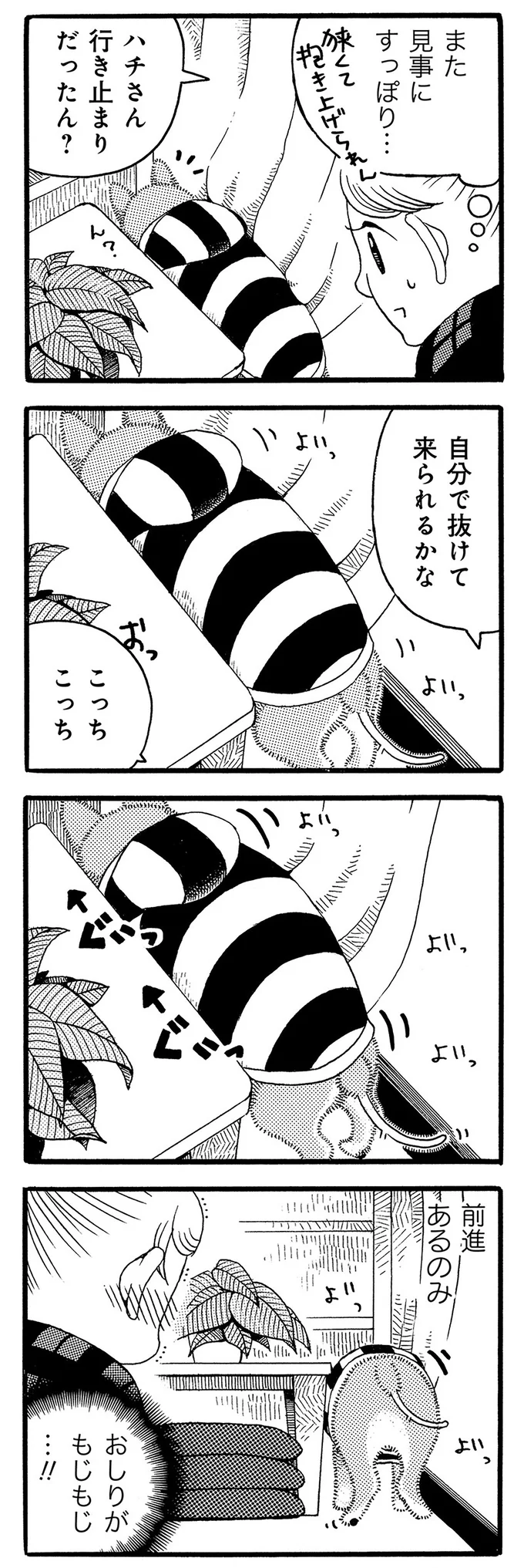 見事にすっぽり…