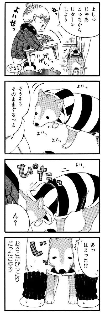 はまった⁉