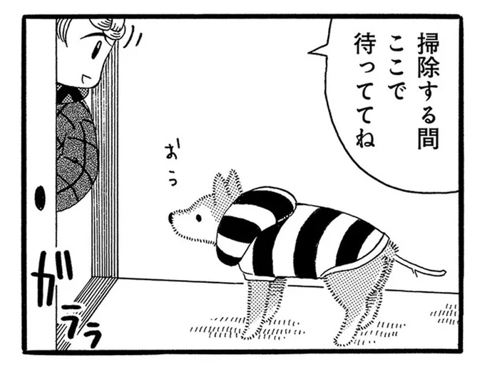 掃除機が嫌いな老犬。掃除が終わるまで別部屋で待機させていたら
