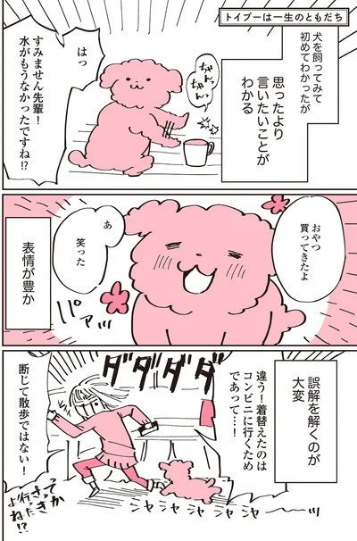 『うちのトイプーがアイドルすぎる。』より