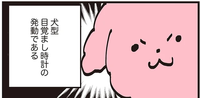 「なぜ寝ている？」ひとりだけ起きてこない家族に、イヌ型目覚し時計が発動！／うちのトイプーがアイドルすぎる。（3）