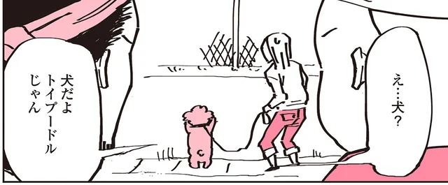 もしかして絡まれる!?臆病な飼い主と空気を読まずに立ち止まるトイプー／うちのトイプーがアイドルすぎる。（7）