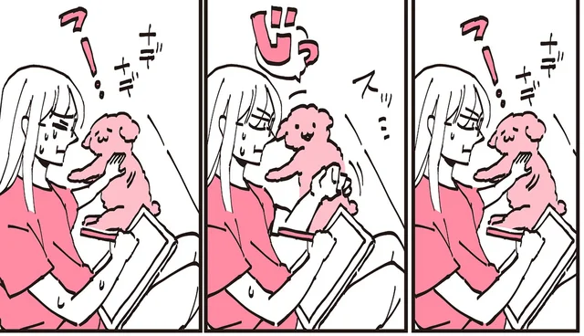 締め切りと格闘する漫画家が苦悩！なでられるの大好きなトイプーの小悪魔っぷり／うちのトイプーがアイドルすぎる。（12）