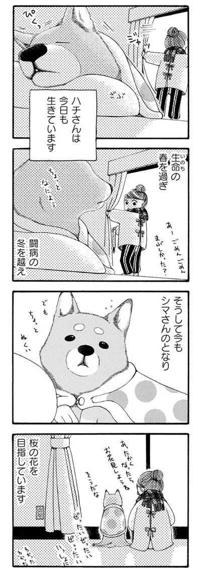 今日も生きています