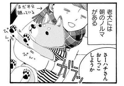 歳をとると超早起き！ 老犬と早起きが苦手な飼い主のモーニングルーティーン