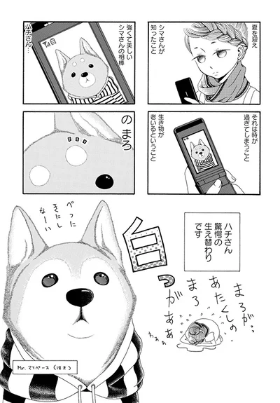 驚愕の生え変わりです