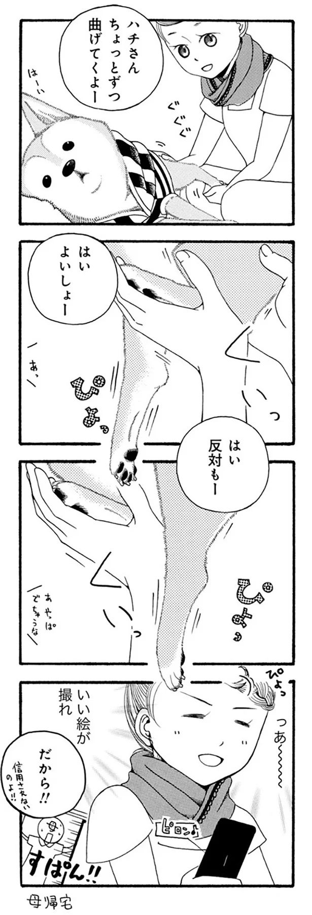 いい絵が撮れ…