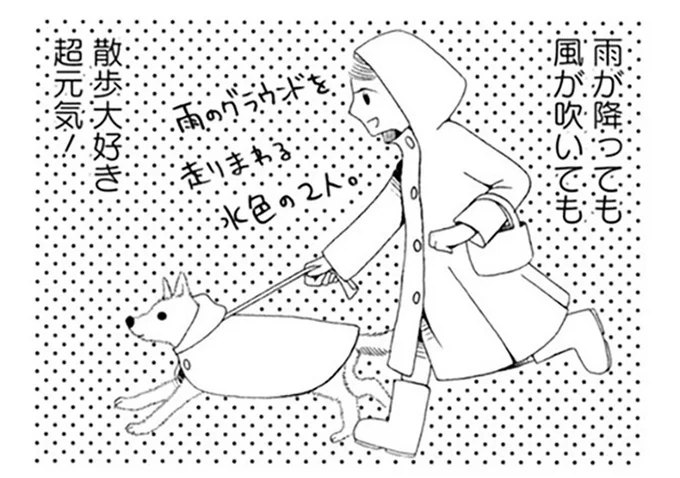 15歳の時は雨でも元気に散歩に出ていた柴犬。18歳になった今は?