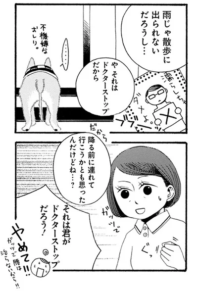 雨じゃ散歩に出られないだろうし…
