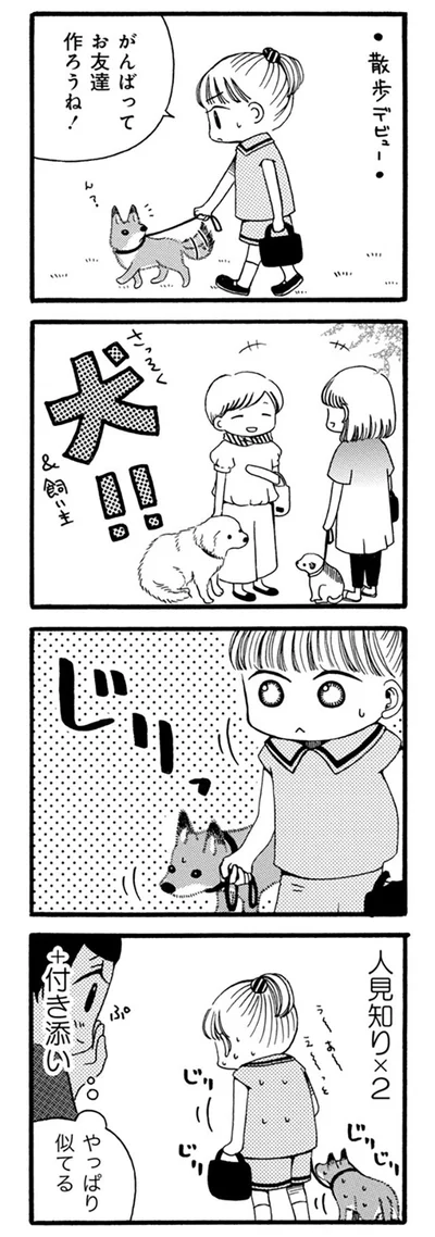 やっぱり似てる