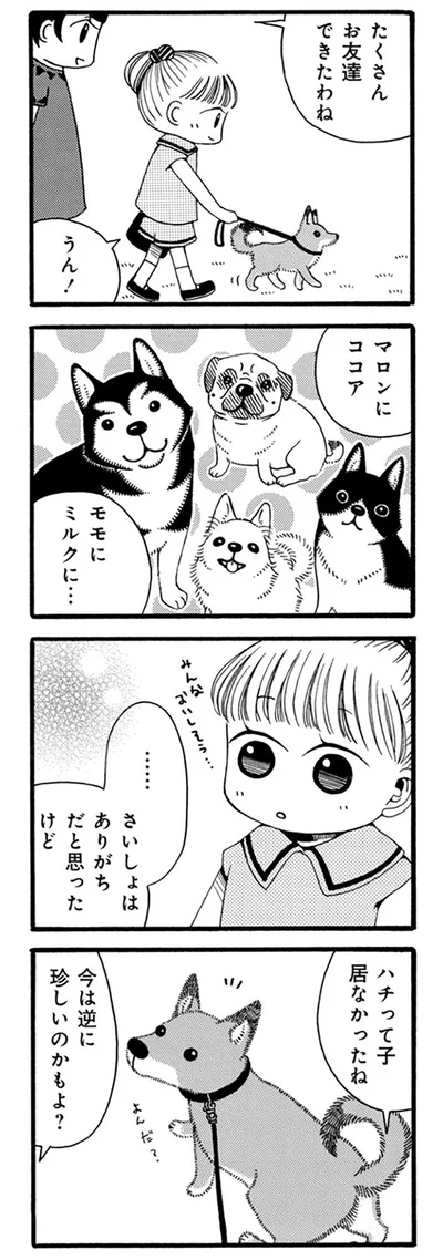 今は逆に珍しいのかもよ？