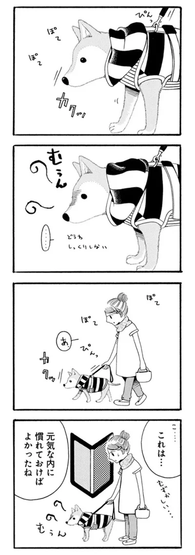 これは…